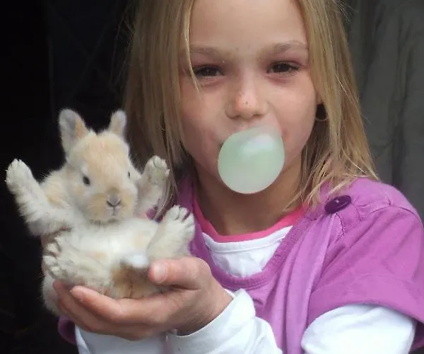 Bed & Breakfast Jagerhaeusl Ramsau am Dachstein